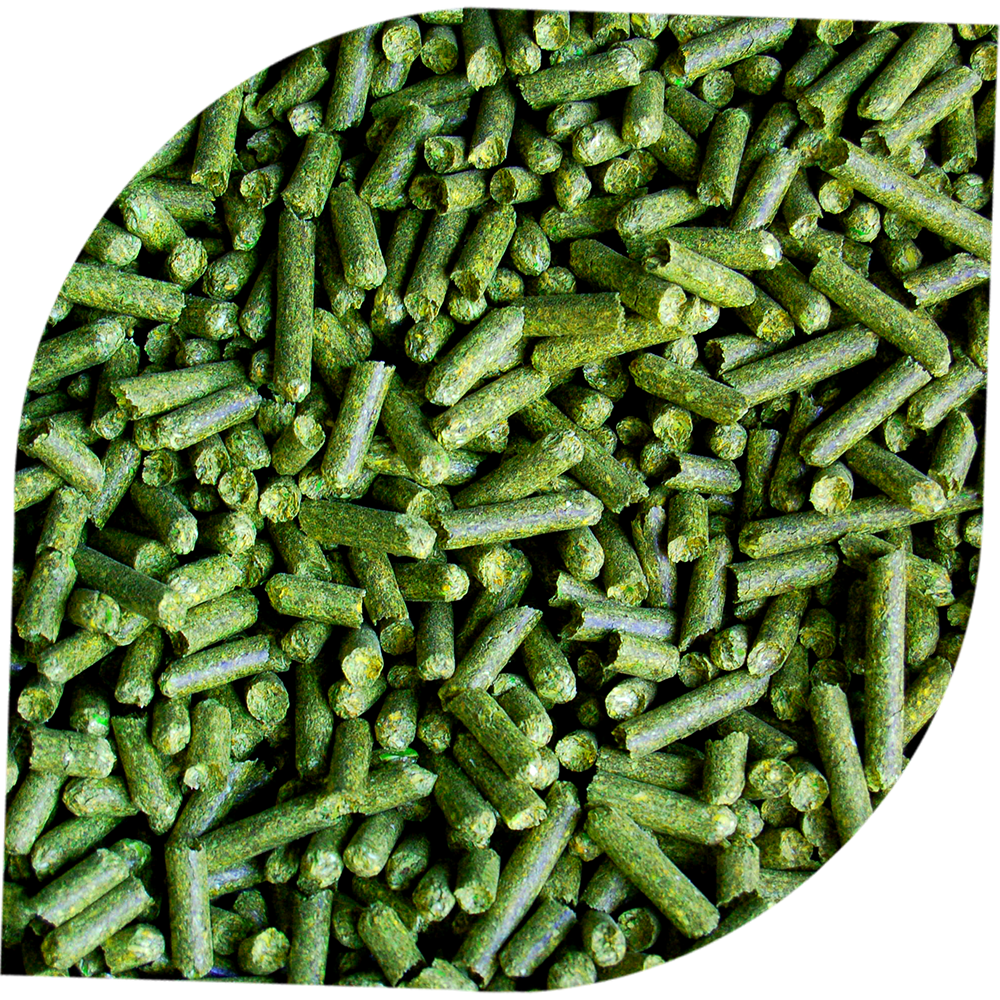alfalfa pellets